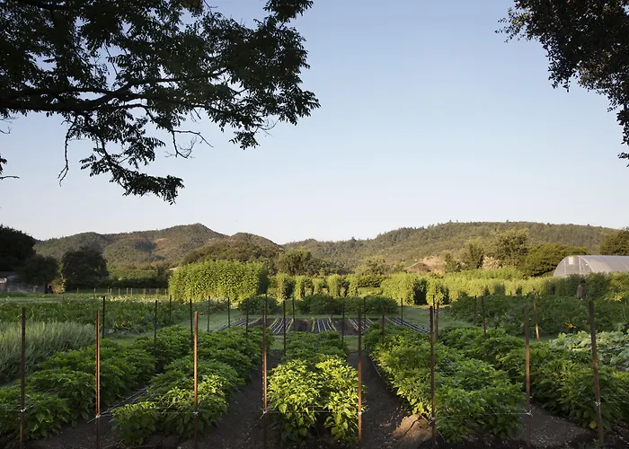 Napa Valley Lodge